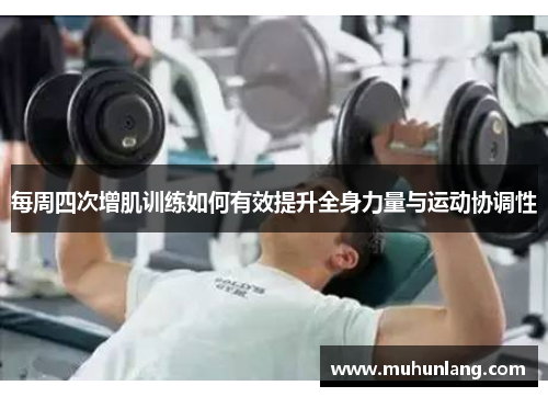 每周四次增肌训练如何有效提升全身力量与运动协调性